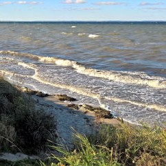惊涛骇浪中的母爱，香港母子不幸卷入海中，疑因追风观浪