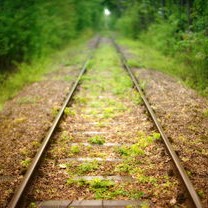 黄岩岛自然保护区的新生，广东自媒体视角下的生态保护新篇章