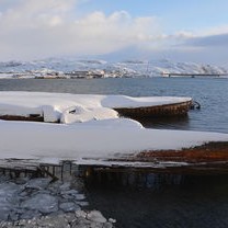 俄美关系新动态，俄外交部期待美总统回访，广东自媒体达人解读国际关系新走向
