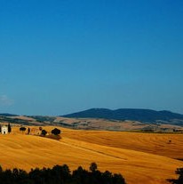 探索国家自然保护区：守护生态宝藏的完整指南，轻松了解保护标准与旅游乐趣