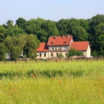 凤阳县小岗村：从18个红手印到乡村振兴，揭秘中国农村改革第一村的传奇历程与旅游攻略