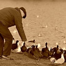从银幕到现实，导演让刚出生女儿出演剖腹取婴镜头，引发社会热议