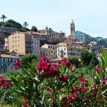 黑龙江省黑河市旅游攻略：探索中俄边境风情与四季奇景