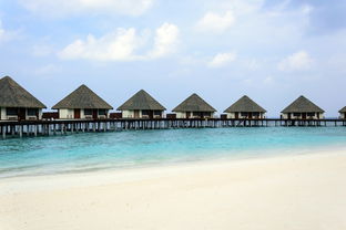 广东奇闻,男子崖下洞居5年,镇政府如何回应? 广东奇闻,男子崖下洞居5年,镇政府如何回应?