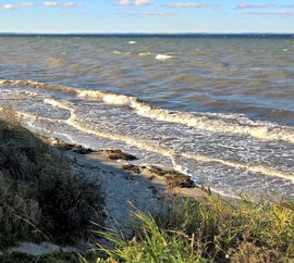 惊涛骇浪中的母爱,香港母子不幸卷入海中,疑因追风观浪 惊涛骇浪中的母爱,香港母子不幸卷入海中,疑因追风观浪