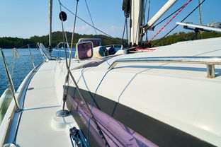 蓬莱海洋极地世界游玩全攻略：轻松规划行程，尽享海洋奇观与极地萌宠的快乐之旅